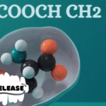 HCOOCH CH2 H2O